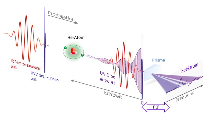 Abb. 1: Durch einen IR-Laserpuls modifizierte Dipolantwort eines He-Atoms nach Anregung durch einen UV-Laserpuls. Das Spektrum ist mit der Antwortfunktion über Fourier-Transformation (FT) verknüpft.