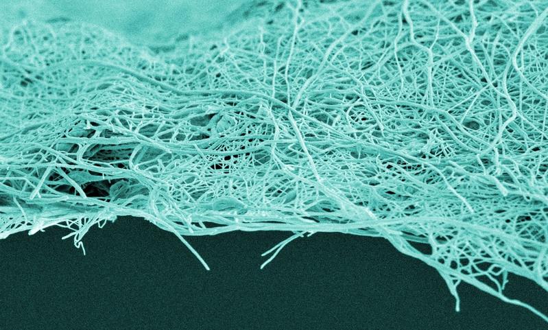 Empa-Forscher haben feine Membranen mit einer Porengrösse von etwa 100 Nanometern mittels Elektrospinning hergestellt.