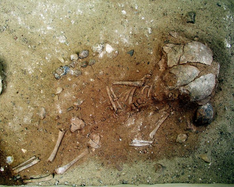 Erst im Labor der HTW Berlin wurde das Grab eines kleinen Kindes freigelegt, das mit rotem Ocker bestreut beigesetzt worden ist.  