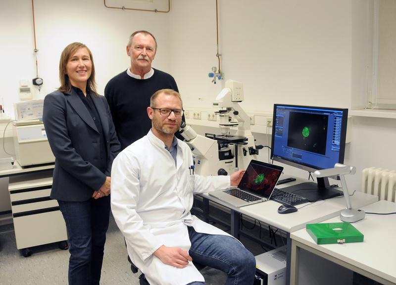 Ildiko Rita Dunay (OVGU) und Karl-Heinz Smalla (LIN) untersuchen den Toxoplasmose-Parasiten gemeinsam mit Daniel Lang (OVGU), der am Mikroskop sitzt.