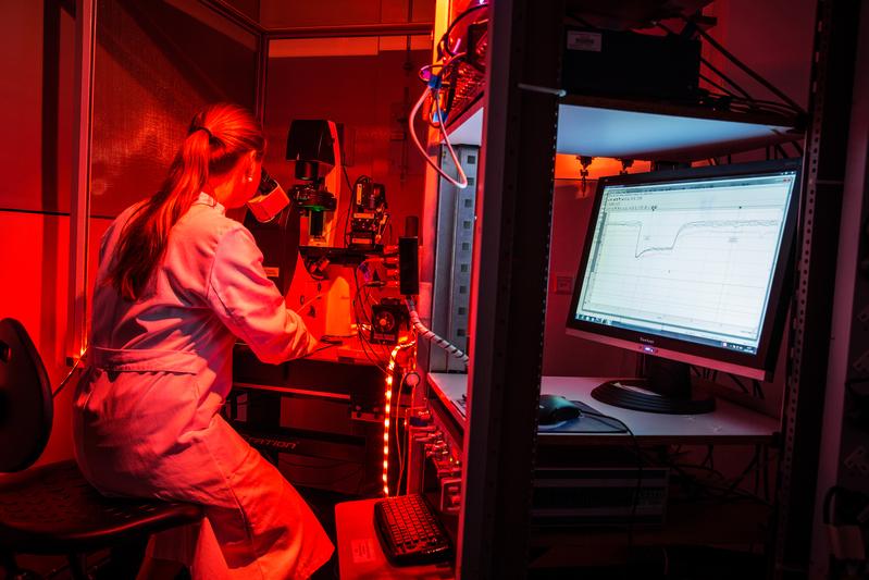 Die Doktorandin Ramona Kopton überprüft im Labor die Lichtempfindlichkeit von Herzzellen, die das neu entwickelte Zweikomponentensystem enthalten