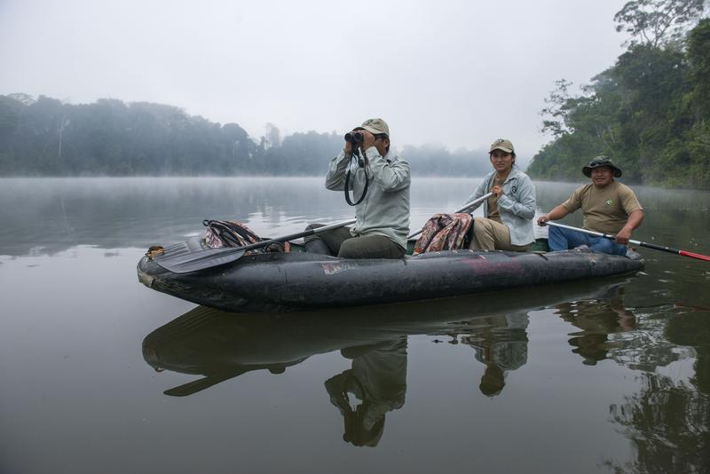 Der Manu Nationalpark in Peru ist ein Hotspot der Artenvielfalt. Biologen der Zoologischen Gesellschaft Frankfurt beim Monitoring der seltenen Riesenotter in den Altarmen des Manu Flusses.