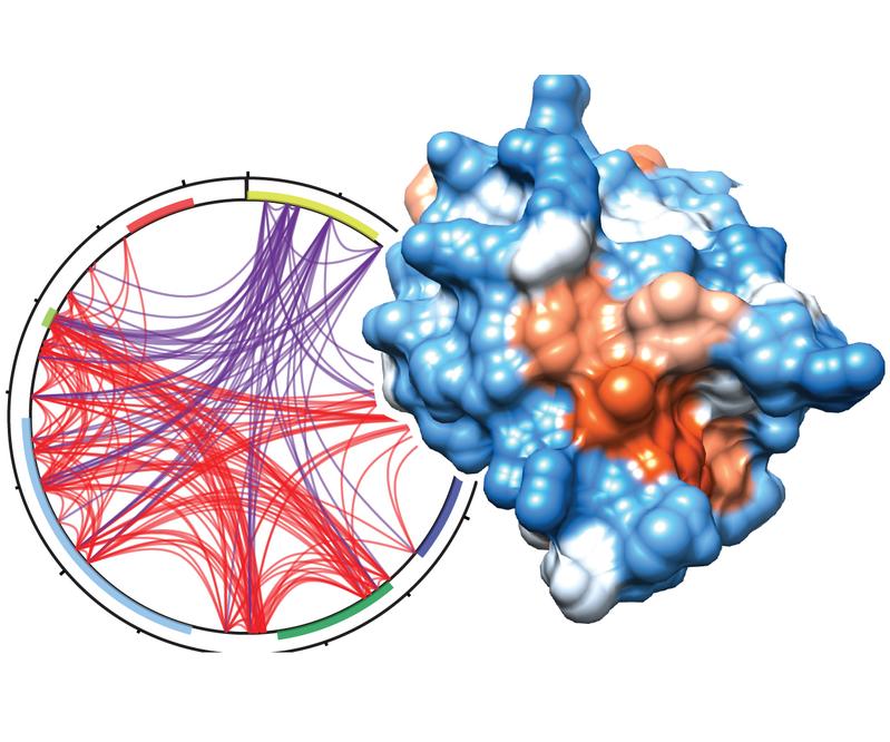 UHRF1 may serve as a target for drug therapies.