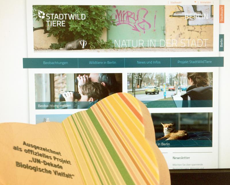 Projekt der UN-Dekade Biologische Vielfalt: „Berliner Stadtwildtiere“