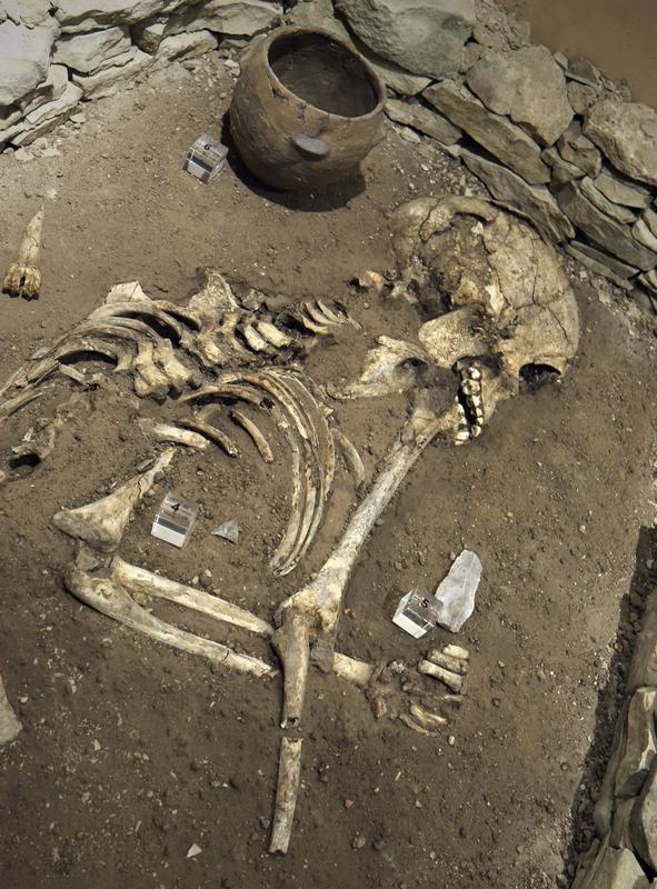 Im Rahmen der neuen Sonderausstellung „Archäologie im Wandel“ wird auch dieses Skelett gezeigt. Dabei handelt es sich um ein etwa 12-jähriges Kind, das zwischen 1800 und 1500 v.Chr. bestattet wurde.