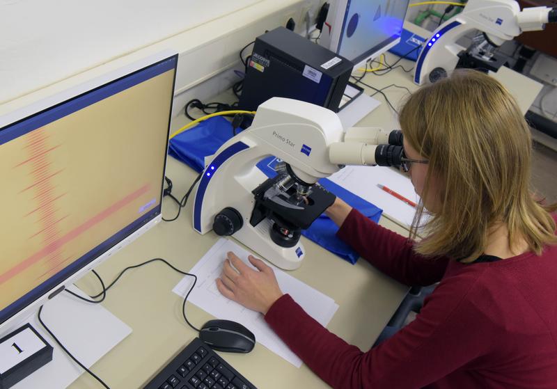 Doktorandin Annika Schmitt nutzt den modernen Mikroskopie-Arbeitsplatz im Physikalischen Grundpraktikum, dessen Einrichtung ZEISS unterstützt hat.
