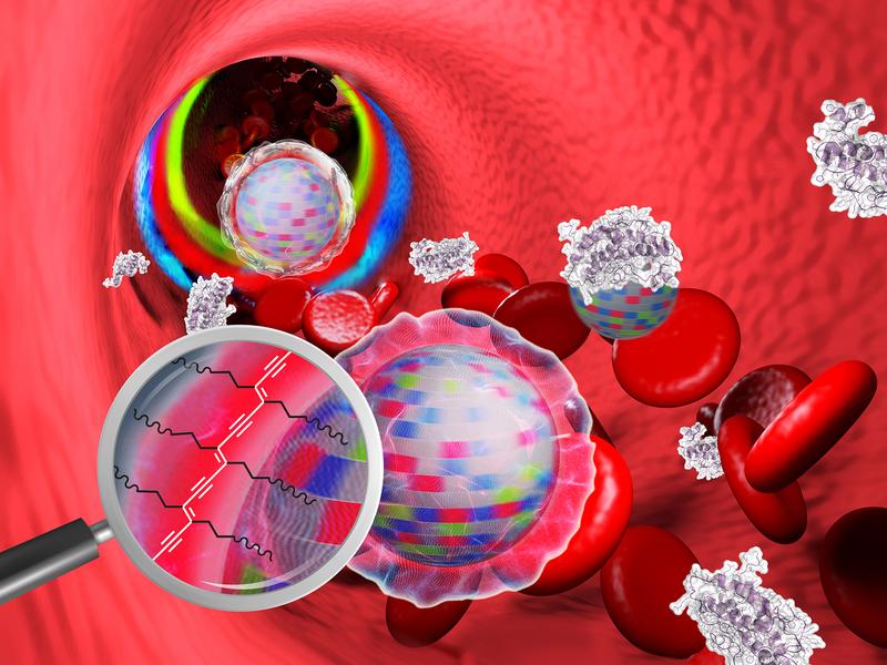 Nanopartikel im Blut: Die „Tarnkappe“ verhindert, dass sich Blutbestandteile anheften. Die Oberfläche ist durch UV-Bestrahlung zusätzlich vernetzt und dadurch in biologischen Systemen stabil.