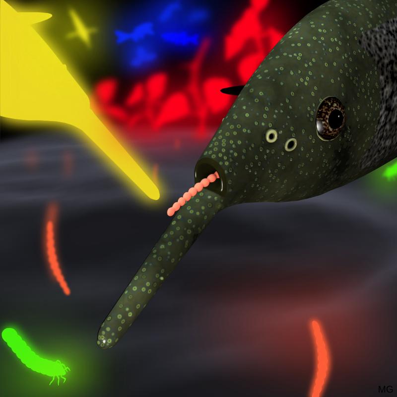 Artistic illustration: The elephantnose fish produces brief electric pulses,  which it uses to perceive its environment. Different objects have different “electrical colors”. 