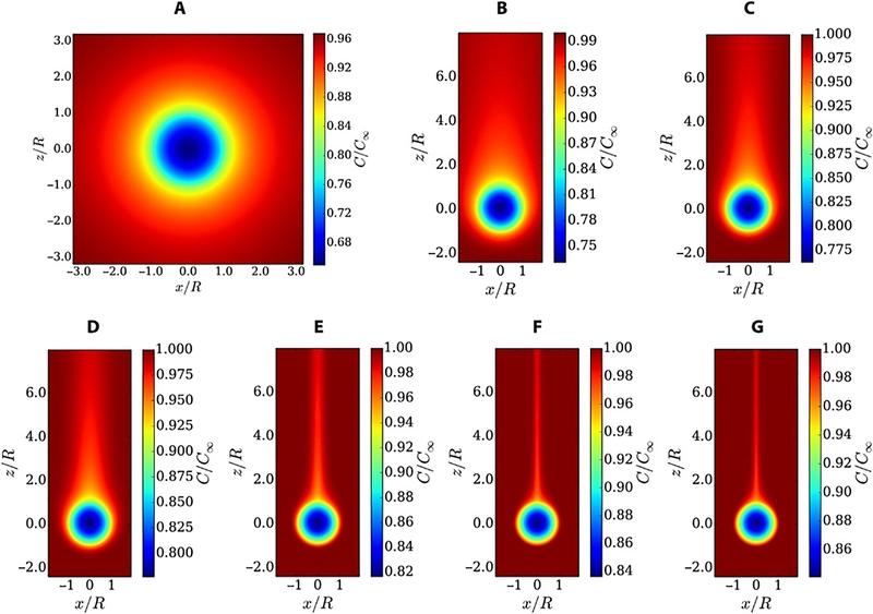 When the porous aggregates sink faster towards the seabed, the generated faster fluid flow can provide more oxygen to the aggregate.