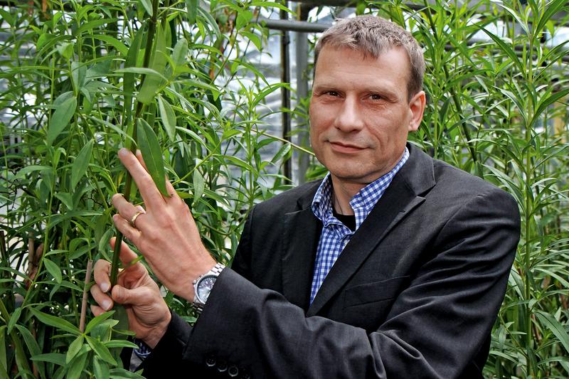Prof. Dr. Andreas Weber vom Institut für Biochemie der Pflanzen ist Sprecher des Internationalen Graduiertenkollegs NEXTplant. 