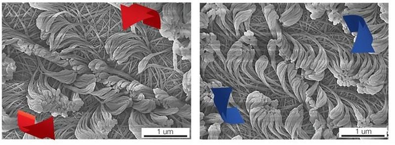 : Nanofasern mit unterschiedlicher Drehrichtung. 