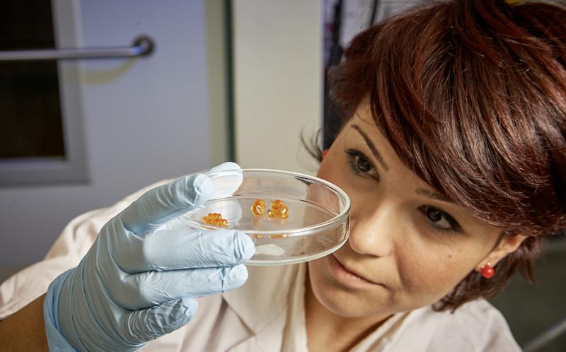 Doktorandin Marzia Tindara Venuto mit Fischeiern in einer Petrischale. 
