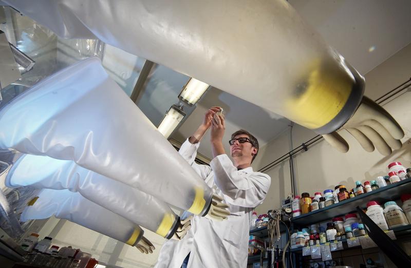 Dr. Stefan Kruse bereitet eine Bakterienkultur für die Untersuchung in einer sogenannten Anaerobenkammer vor.