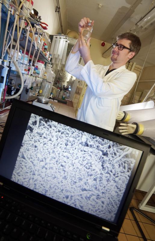 Dr. Stefan Kruse bereitet eine Bakterienkultur vor. Auf dem Bildschirm ist eine elektronenmikroskopische Aufnahme einer biofilmartigen Aggregatbildung zu sehen.