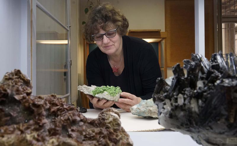 Die Kustodin der Mineralogischen Sammlung der Universität Jena Dr. Birgit Kreher-Hartmann einen Pyromorphit (Grünbleierz) aus Slowenien, der in der neuen Ausstellung gezeigt wird.