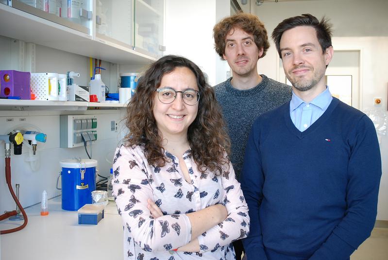 The MPI team: Noelia Díaz, Kai Kruse and Juanma Vaquerizas