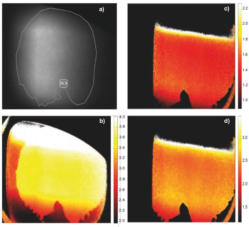 The new microscopy techniques show different chemical compositions on the surfaces of frog tongues.