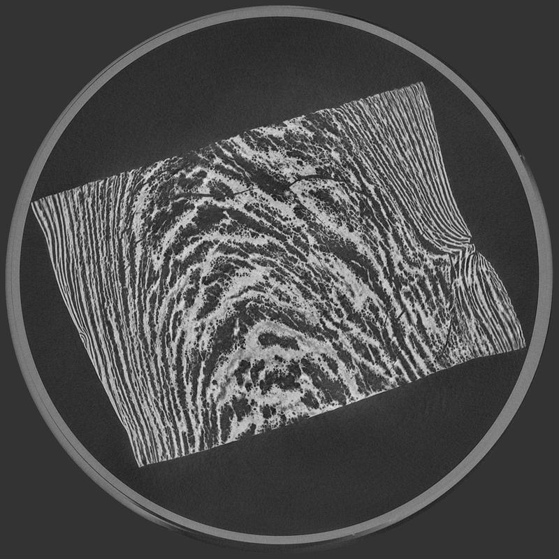 Der Fleischtextur auf der Spur: Die Mikrocomputertomographie (µCT) macht die Produktstruktur sichtbar.  
