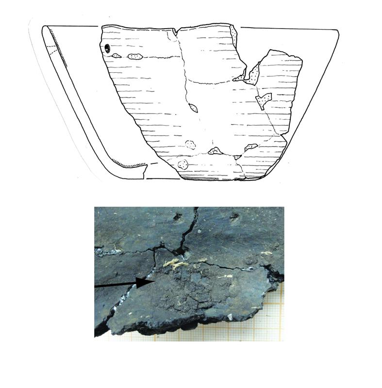 Reconstruction of the 6000 years old pot from Friesack 4 archaeological site (upper panel) and a closeup view of the charred food crust at its bottom (lower panel).