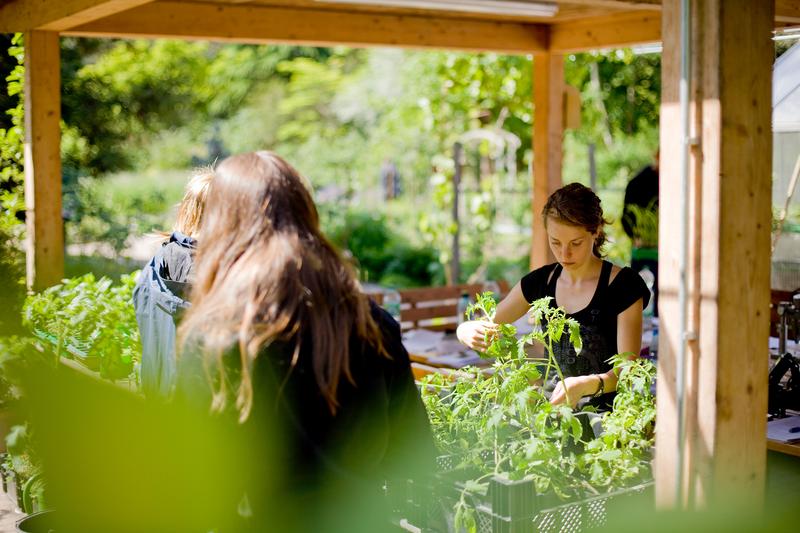 Ökologischer Lerngarten der Pädagogischen Hochschule Karlsruhe