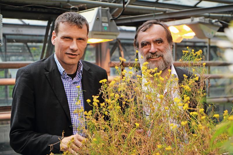 Prof. Dr. Andreas Weber (l.) und Prof. Dr. Peter Westhoff arbeiten an einer europäischen Roadmap zur Pflanzenzüchtungsforschung.