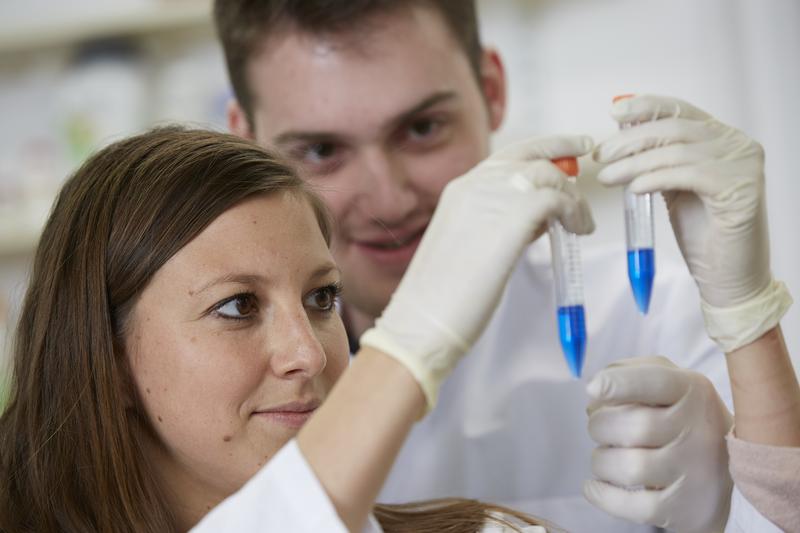 Das DZHK fördert den wissenschaftlichen Nachwuchs in der Medizin.