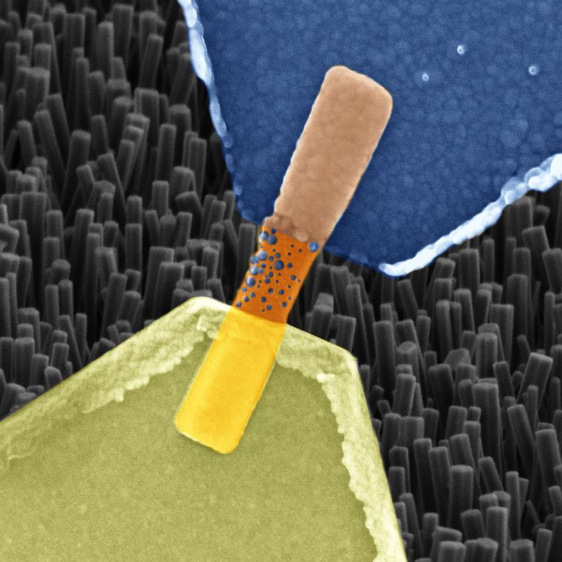 Elektronenmikroskopische Aufnahme eines Nanodraht-Memristors. Blau: Silberelektrode, orange: Nanodraht, gelb: Platinelektrode. Die blauen Bläschen sind Silberionen und erhöhen die Leitfähigkeit.