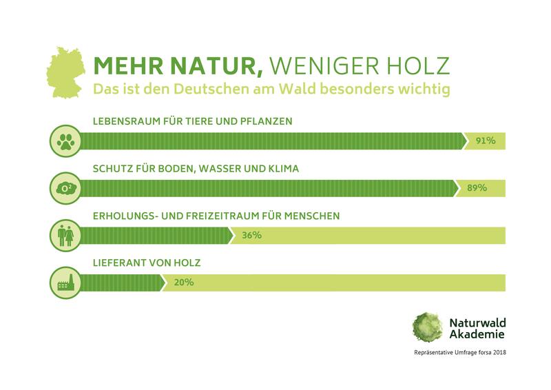 Das ist den Deutschen am Wald besonders wichtig