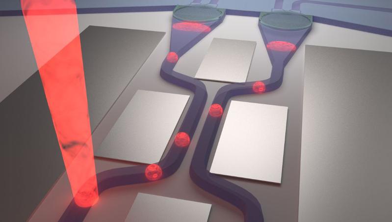 Photonic circuit in which single photons are emitted, guided and split into two waveguide-arms.