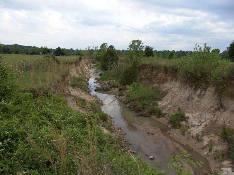 Degraded agricultural stream in the Mississippi delta. 