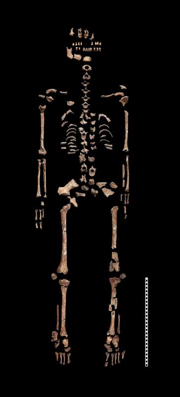 Das Skelett der Heiligen vom Hemmaberg. Die Frau war zwischen 35 und 50 Jahre alt und lebte im 1. oder 2. Jahrhundert.