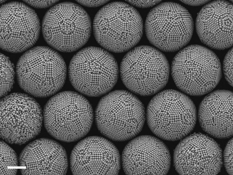 Elektronenmikroskopische Aufnahme von kolloidalen Clustern. Jeder Cluster besteht aus winzigen Polymerkugeln, die sich zu einem trocknenden Wassertropfen zusammenfügen. (Maßstabsbalken: 2 Mikrometer)