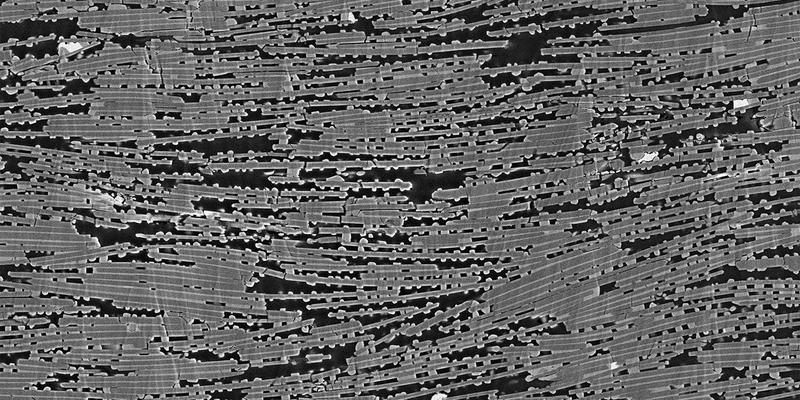 Ein Querschnitt durch ein Perlmutt-Imitat zeigt, dass sich ab Temperaturen von 800 Grad Celsius zwischen den Plättchen Noppen bilden, welche das Material verfestigen.