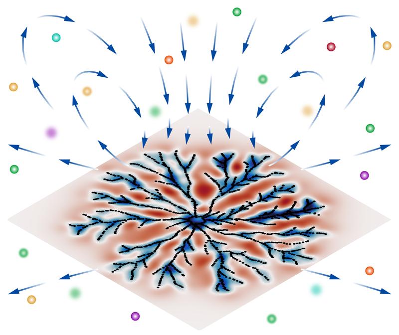 Bewegungsmuster auf einem ebenen Biofilm (blau-rot gefärbt) und dadurch erzeugte Flusslinien vom Lösungsmittel (blau), die für den Transport von Nährstoffen (bunte Kugeln) sorgen.