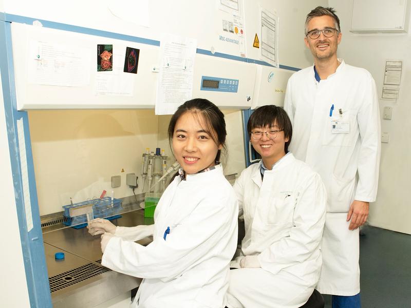 Körpereigener Wirkstoff stärkt das Herz Im Labor: (von links) Qian Li, Yangyang Liu und Dr. Felix Jansen.