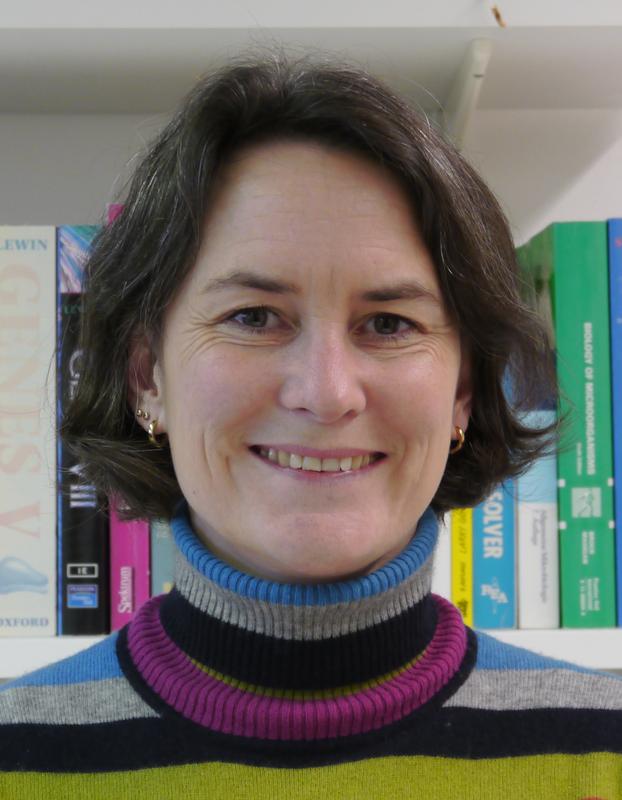 Prof. Dr. Katja Sträßer. 