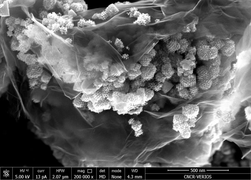 HRSEM-Bild eines 3D/2D-CuO-NIO Graphen-Nanokomposits als aktives Anodenmaterial.