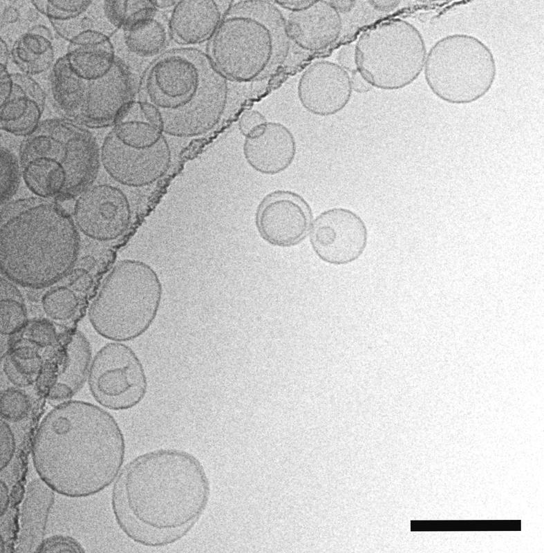 Elektronenmikroskopische Aufnahme von Liposomen aus Phospholipiden und Bolalipiden. Der Größenbalken entspricht 200 Nanometer.