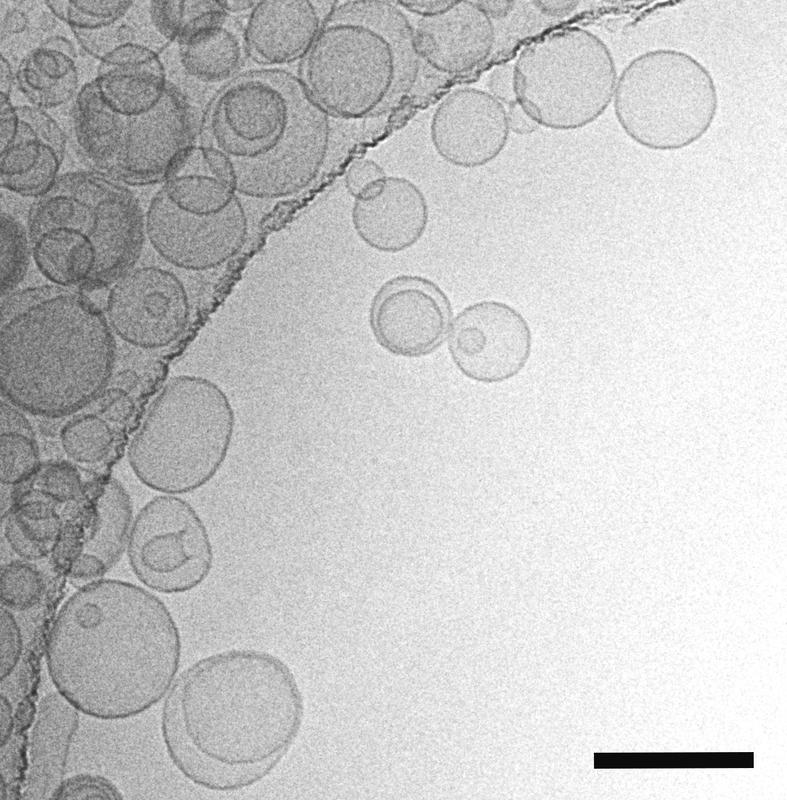 Elektronenmikroskopische Aufnahme von Liposomen aus Phospholipiden und Bolalipiden. Der Größenbalken entspricht 200 Nanometer.