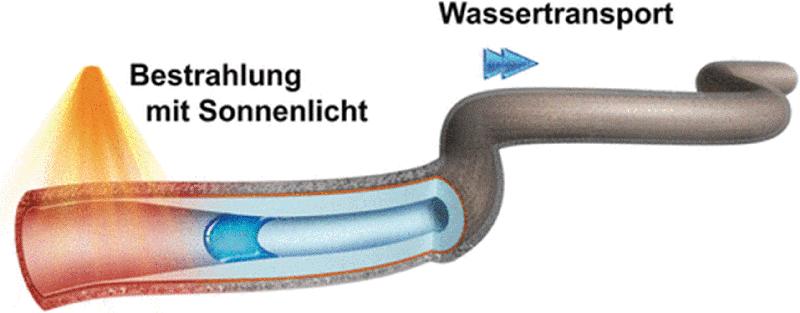 Die „Mikroschlauchpumpe“ transportiert Wassertröpfchen angetrieben von Sonnenlicht.