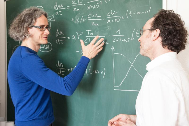 Dr. Ingmar Glauche und Prof. Ingo Röder vom Institut für Medizinische Biometrie und Statistik der TU Dresden.