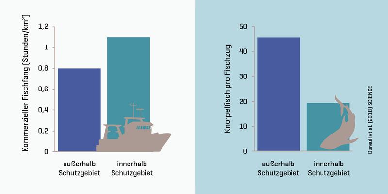 Kommerzieller Fischfang (links) sowie Fänge von Knorpelfischen (rechts) ausserhalb und innerhalb von Schutzgebieten. 