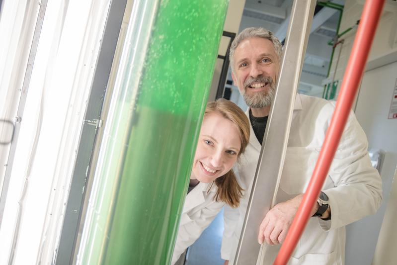 Jacqueline Thiemann und Marc Nowaczyk interessieren sich für Proteinkomplexe in Cyanobakterien, die sie an der Ruhr-Universität in großen Tanks halten.