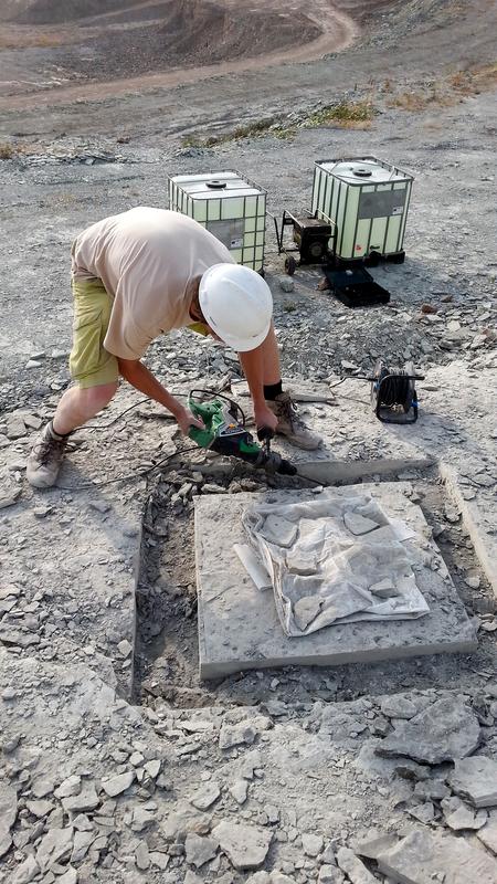 Jelle Heijne bei der Bergung eines Fischfossils während einer Grabung in Winterswijk im Jahr 2013. 