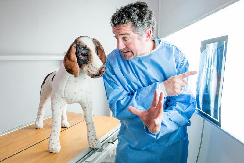 Prof. Dr. Bernhard Hiebl, Stiftung Tierärztliche Hochschule Hannover, stellt die rechtlichen Rahmenbedingungen von Tierversuchen vor und beleuchtet den Einsatz von Tieren in Versuchen kritisch.