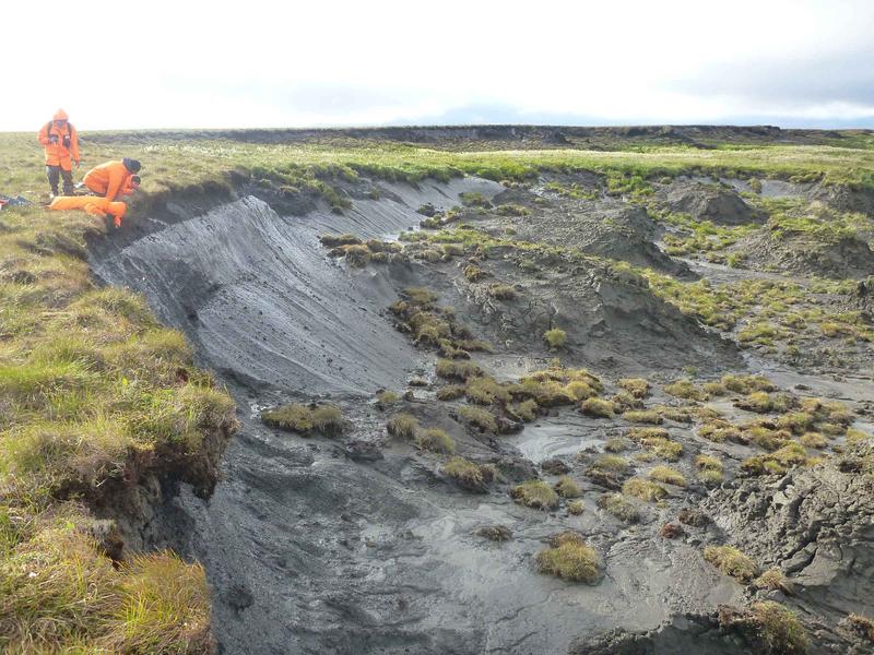 AWI-Permafrostforscher untersuchen die erodierende Permafrost-Küste auf der sibirischen Bykovsky-Halbinsel.