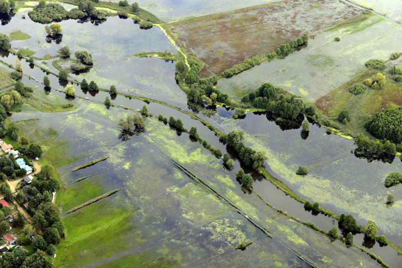 Wo Flüsse, wie hier die Spree, noch Überschwemmungsgebiete aufweisen, werden Hochwasserwellen abgemildert.