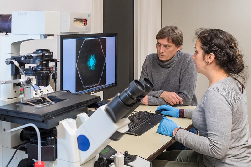 First author Aurore Dupin and Prof. Friedrich Simmel at the fluorescence microscope. 