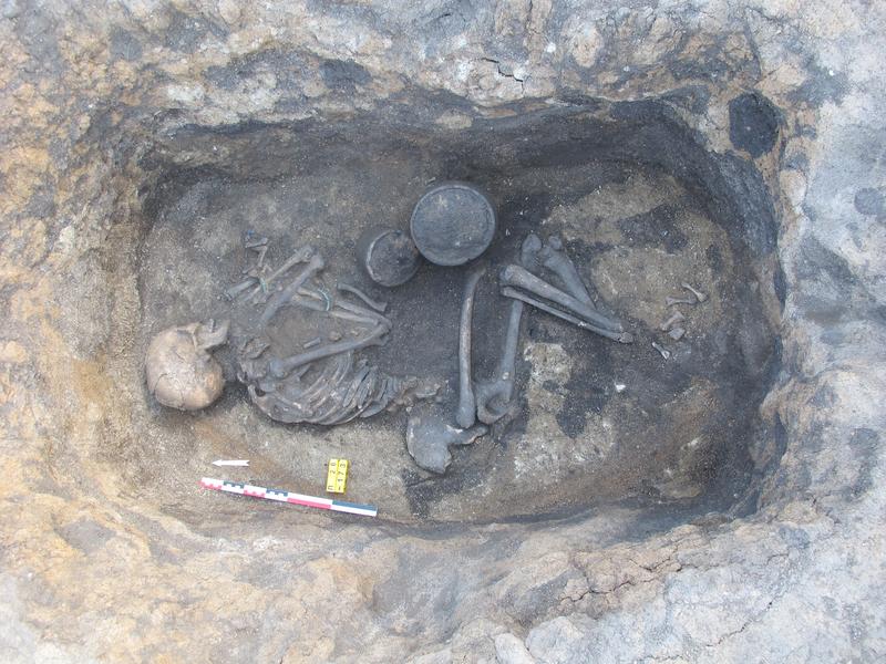 Trans-Ural region, Neplujevka. Burial of an adult in a large kurgan. Late Bronze Age, 2017 excavation. 