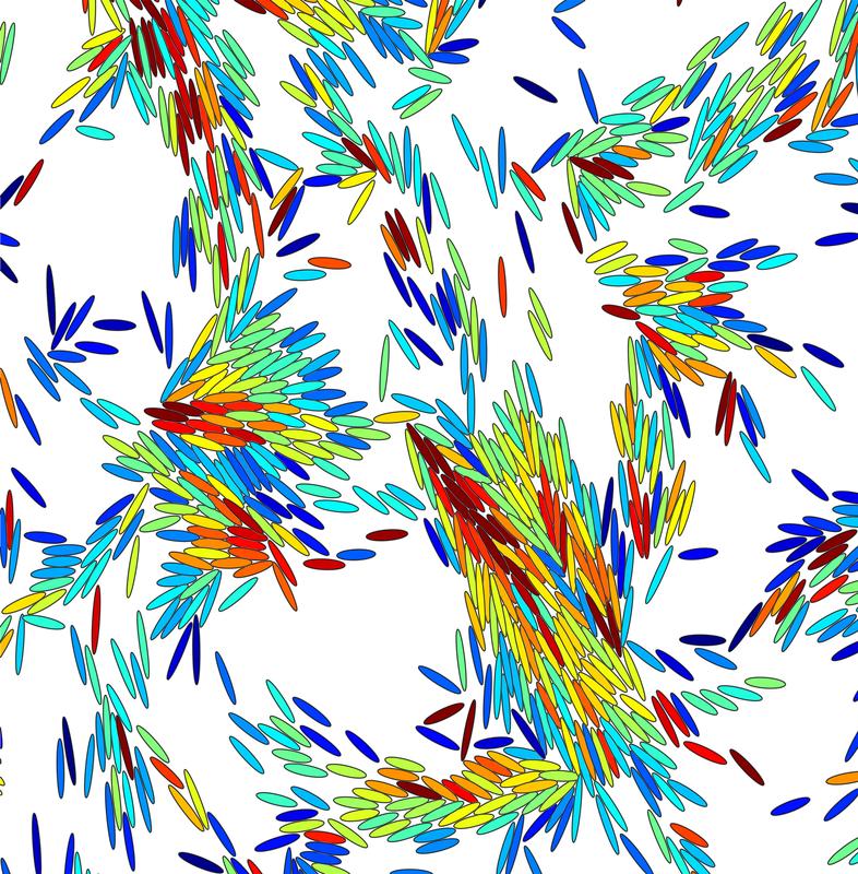 Bakterien (dargestellt als Ellipsen) organisieren sich als Schwärme, wenn sie sich über Oberflächen bewegen (vollst. BU: www.uni-marburg.de)